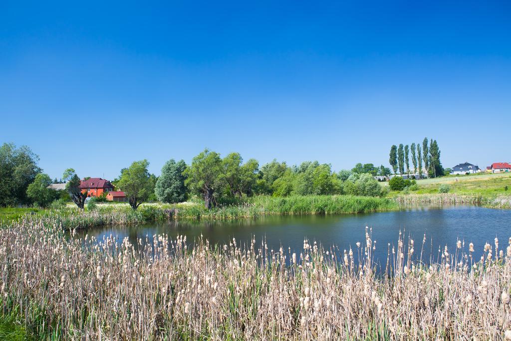 Zloty Staw Bed & Breakfast Borkowo  Eksteriør bilde